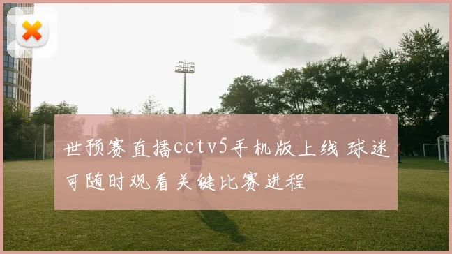 世预赛直播cctv5手机版上线 球迷可随时观看关键比赛进程