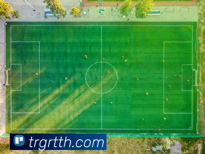 星空体育在线官网入口服务体系